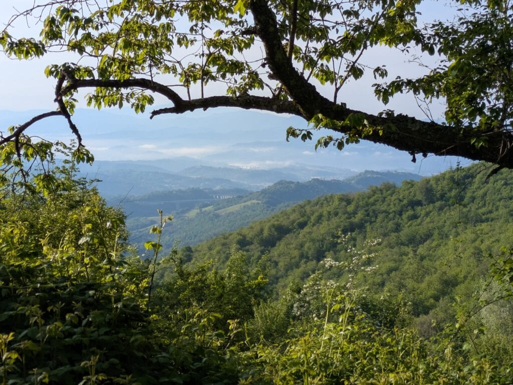 Lago di Bilancino visto dal crinale di Montecuccoli