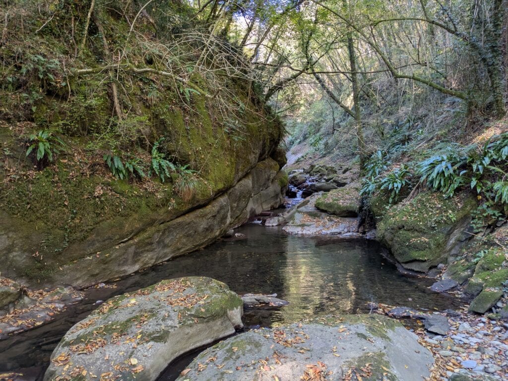 Torrente Carigiola nei pressi de La Centrale Gavigno