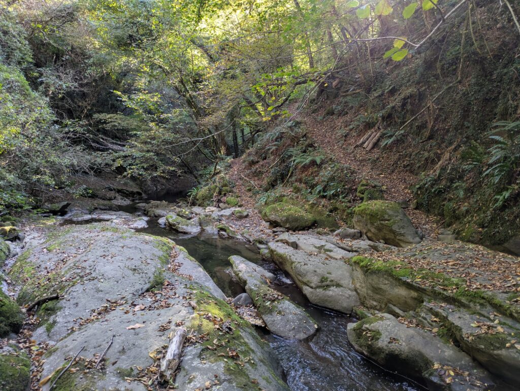 Torrente Carigiola nei pressi de La Centrale Gavigno