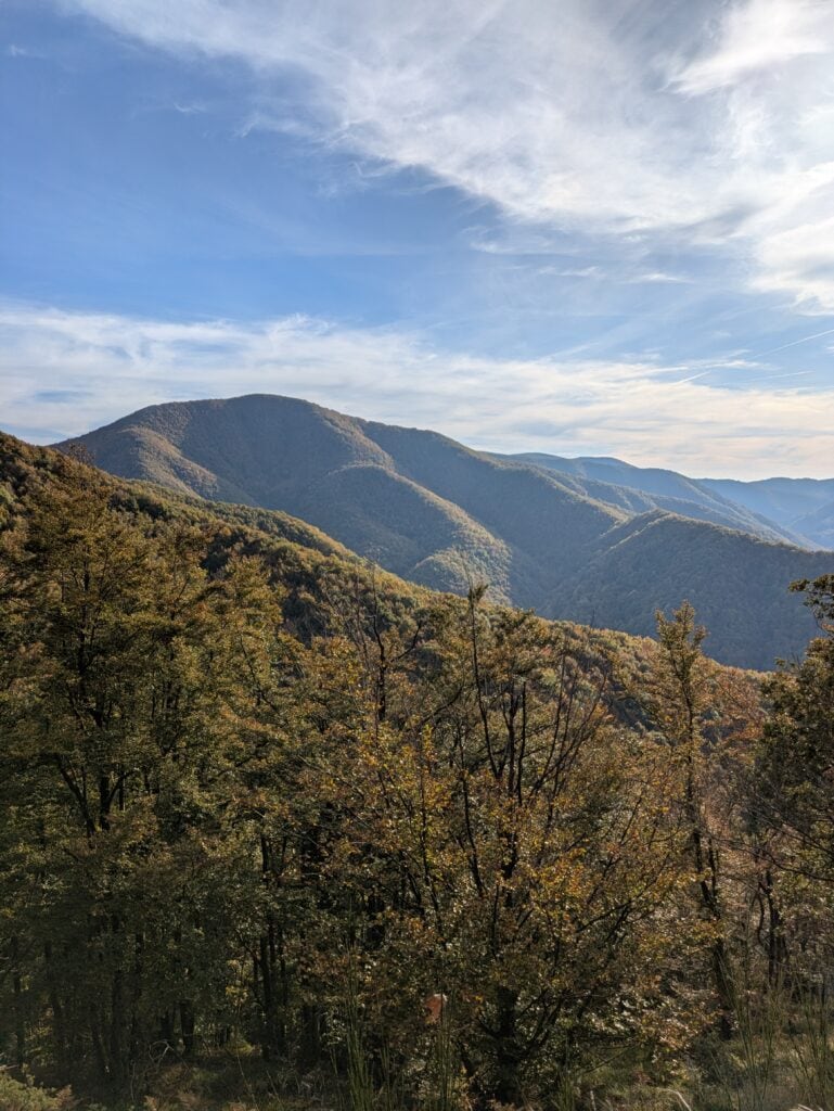 Vista sul Monte Bucciana in autunno
