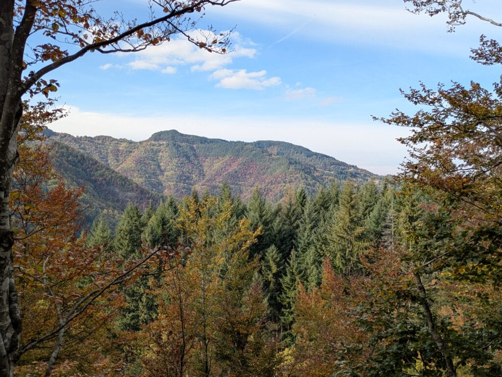 Vista sul Monte Lavacchio in autunno