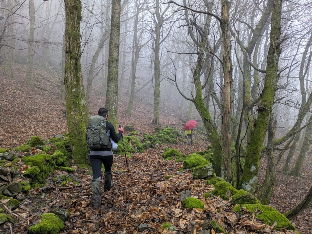 Camminando su sentieri antichi nella nebbia