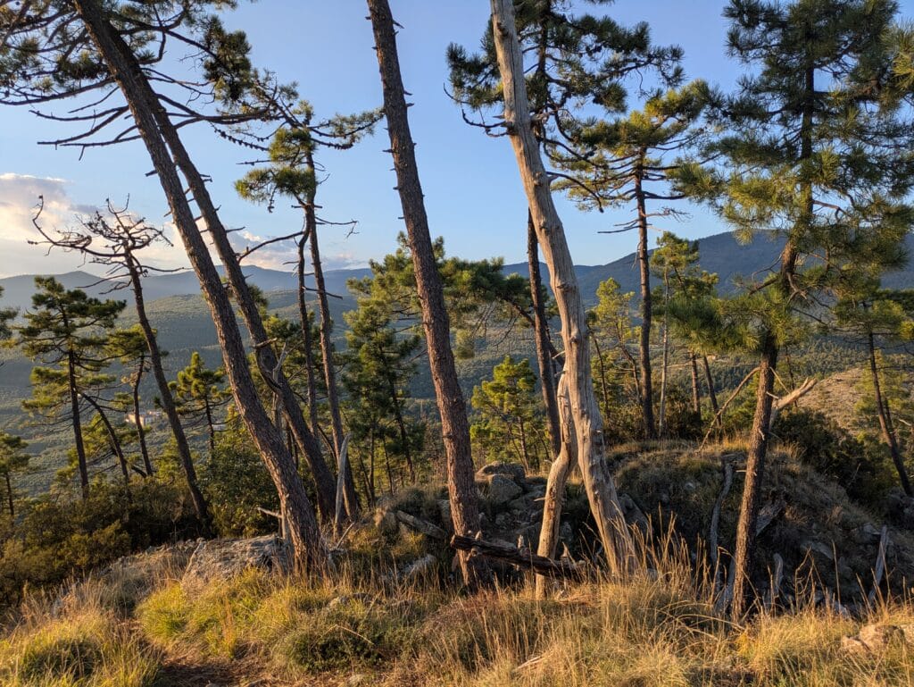 Corsa autunnale sul Monteferrato sul far della sera