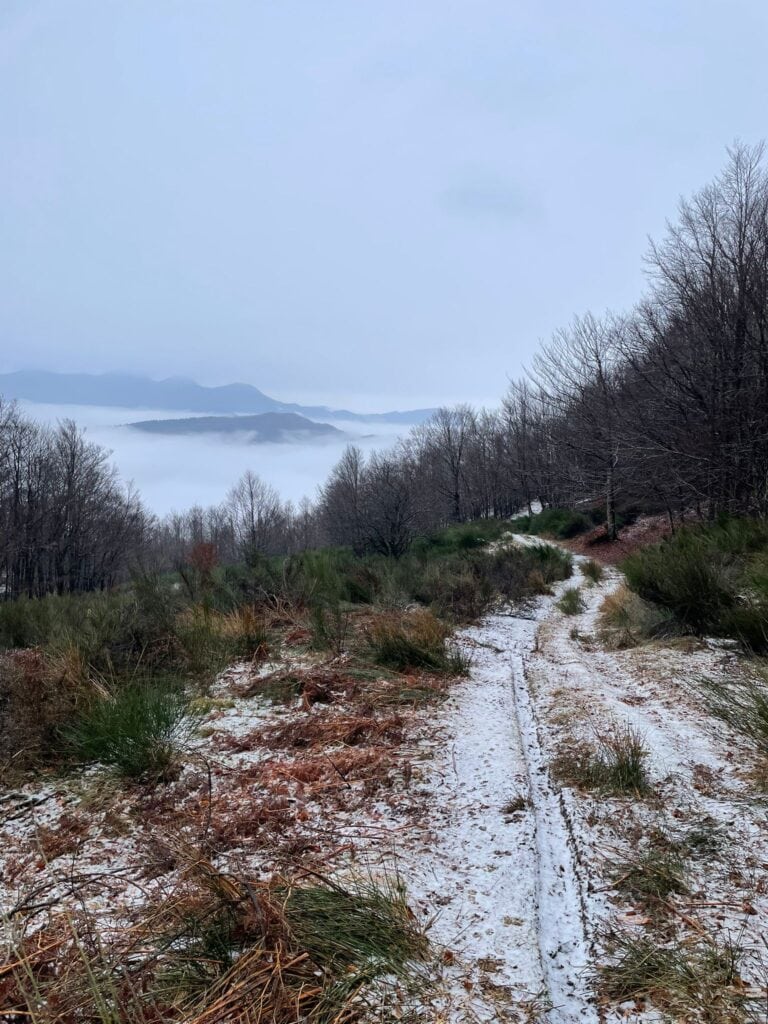 Mare di nuvole e strada innevata