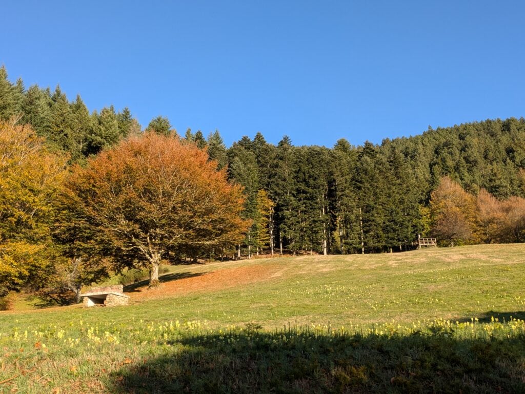 Prato del Rifugio Faggione delle Valli in autunno