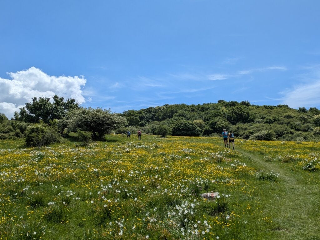 Salita al Monte Cantagrilli