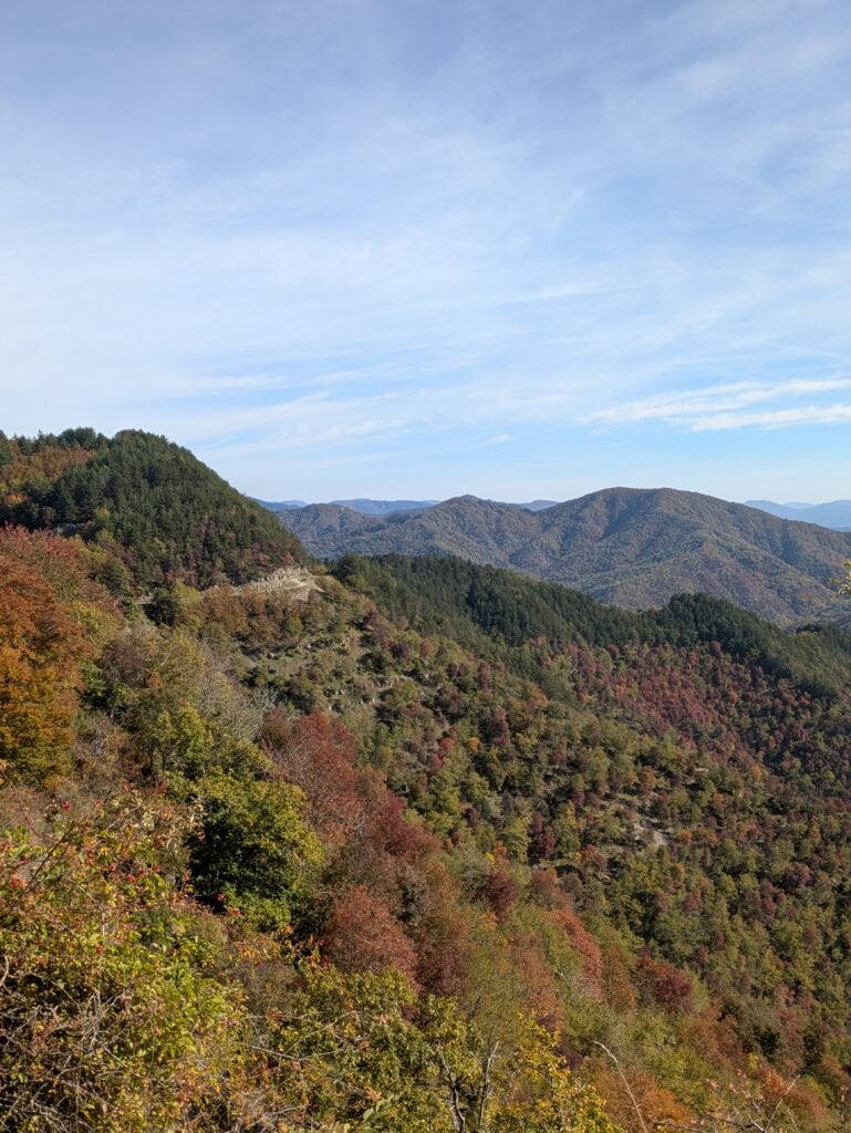 Vista dei boschi sopra Torri in autunno